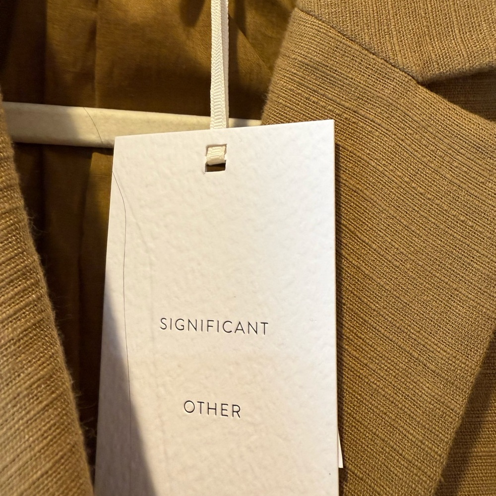 Elegant Tan Belted Blazer Dress - Picture 4 of 6